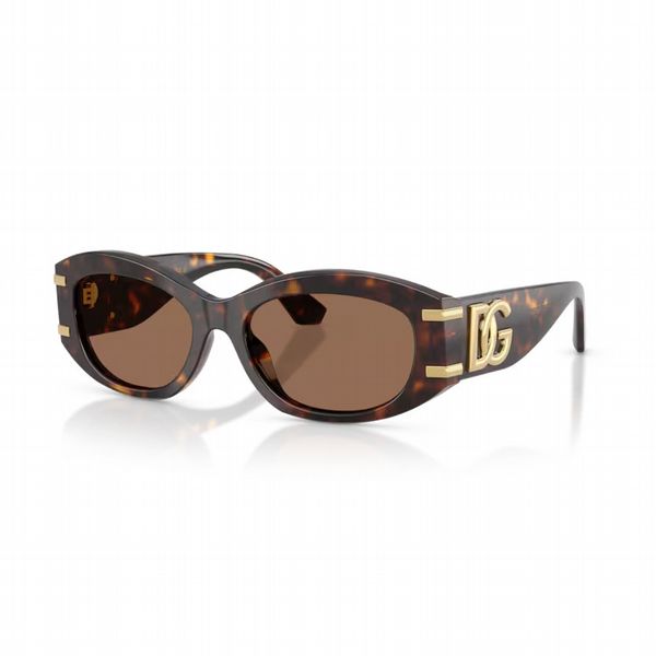 Dolce & Gabbana Havana Frame With Dark Brown Lens - Size Large