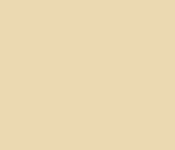 Daler Rowney Cryla Acrylic: 250ml pot